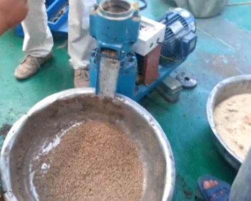 (實(shí)拍)秸稈飼料顆粒機(jī)視頻